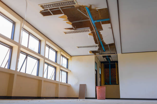 Best Water damage cleanup near me  in Fort Branch, IN