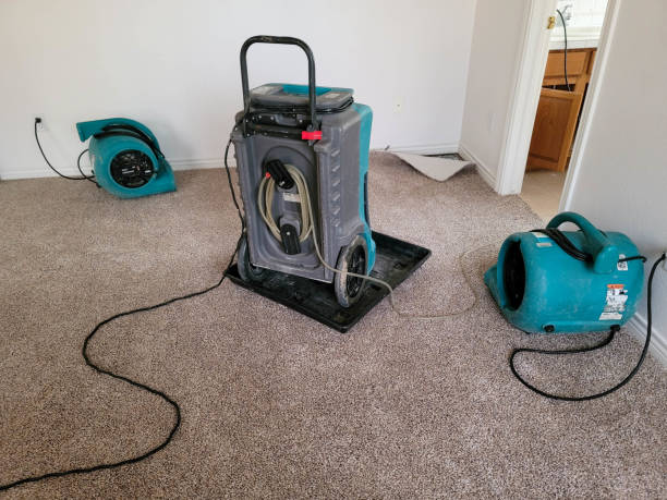 Best Flood damage cleanup  in Fort Branch, IN
