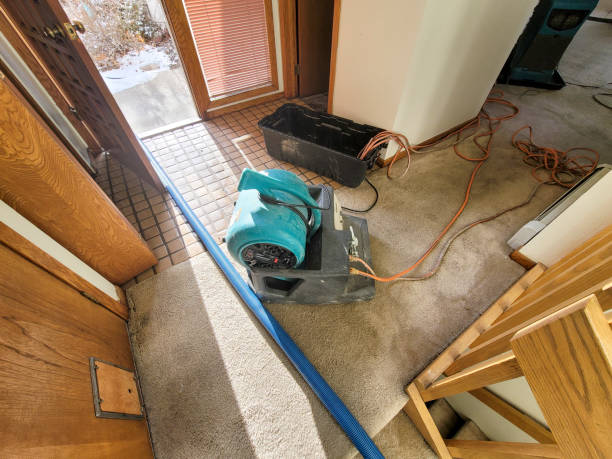 Best Professional water damage repair  in Fort Branch, IN