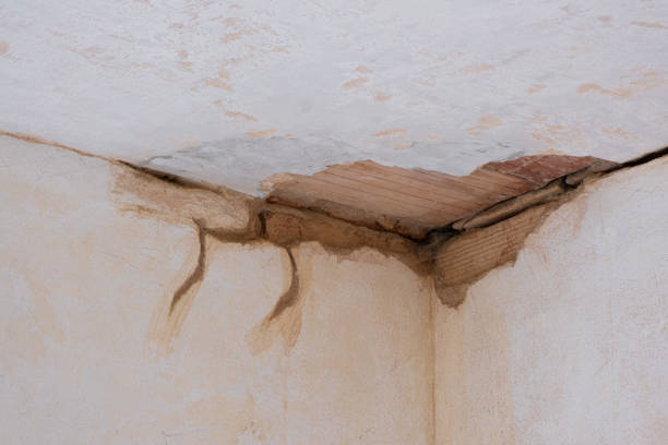 Best Water damage restoration near me  in Fort Branch, IN